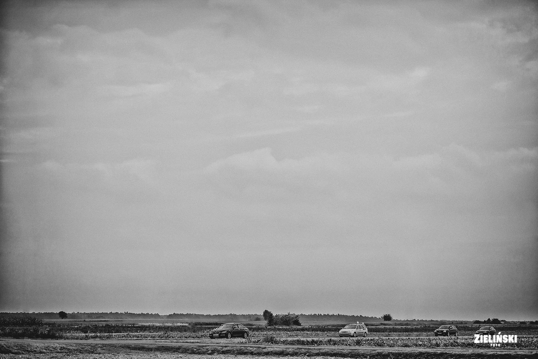 Fotografia ślubna - zdjęcia plenerowe i reportażowe - zdjęcie nr 33